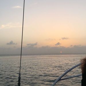 Meet your Posher, Odette